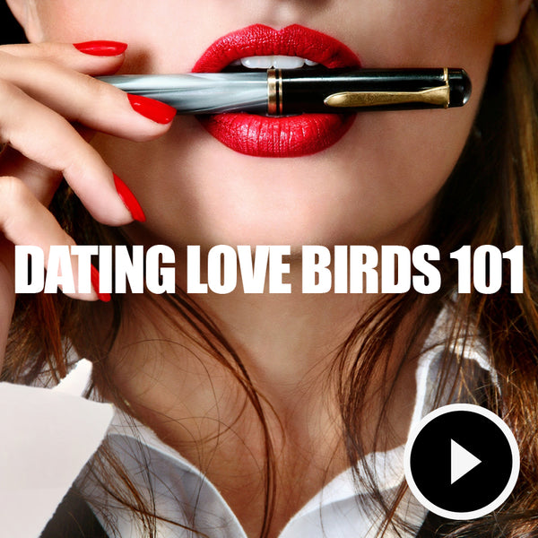 Dating Lovebirds 101 Podcast Program
